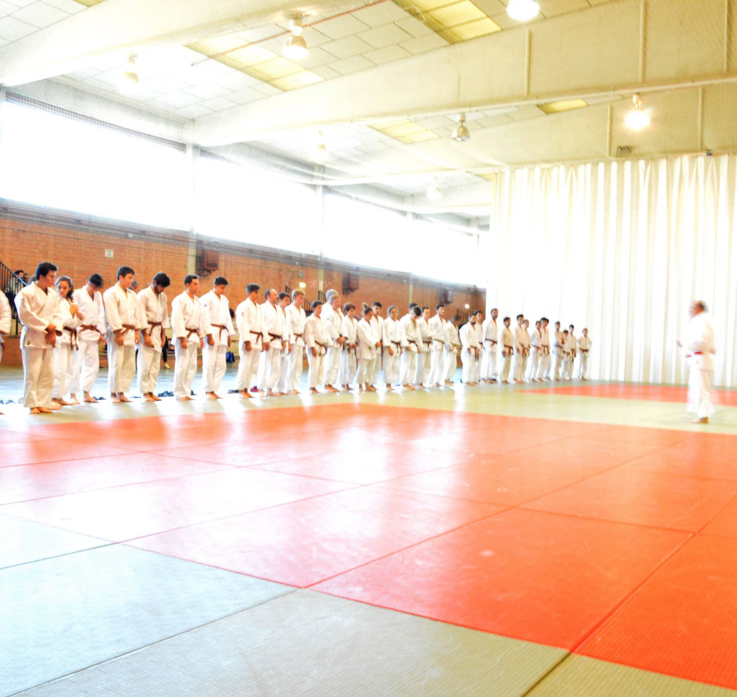 Curso de Nage-No-Kata (inscrip. hasta 26/02/19)