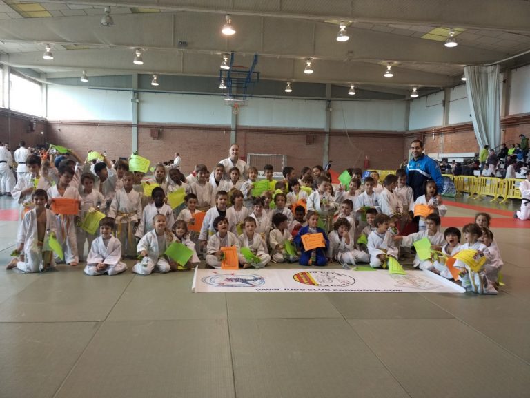 Encuentro de Judo Infantil 05/11/17