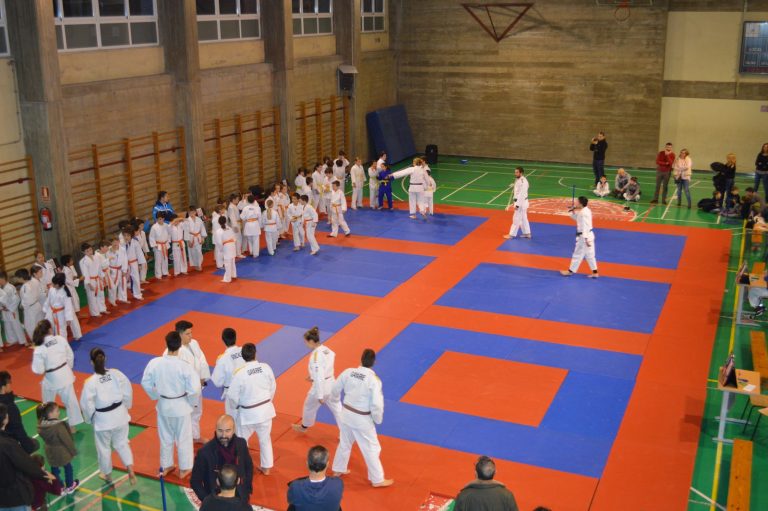 Torneo de Corazonistas – Judo Club Zaragoza 11/02/18